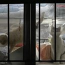 청평동물병원 이미지