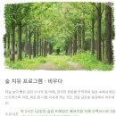 계곡힐링스카이 이미지