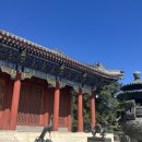 중국 베이징 패키지 후기 2. 이화원 편( 노옵션, 노쇼핑, 노팁)
