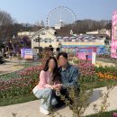 삼성카랜드 | [용인] 에버랜드 산리오 튤립 축제 야간 문라이트 퍼레이드