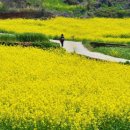 청산도게스트하우스 이미지