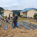 공동농장 이미지