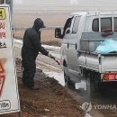 나왔다농장 이미지