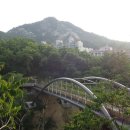 생태다리 이미지