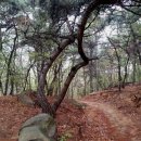 화림사 - 청주시 상당구 | 생선회를 청하니, 그 사람은 생선회를 가져다 주었다. 보지는 그것을 배불리 먹고 다시 토해 내었다...
