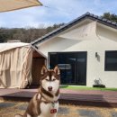 아요하우스 이미지