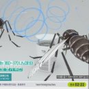 서울양행 이미지