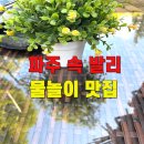 부림제2경로당 | 핫플풀빌라수영장펜션 중휴림 서울근교 독채풀빌라 수영장 노천탕 밤부림드립백커피 발리우붓정글감성 숙소
