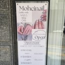 모헤이