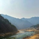 고사리 쉼터 | 강원도 인제 펜션 계곡 숙소 고사리쉼터 추천