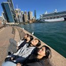 뽀삐뽀삐 이미지