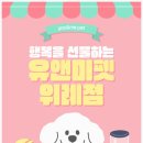 유앤미펫 강아지분양 고양이분양 위례점 이미지