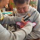 박용복농장 네이버블로그