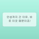 안성가정육 네이버블로그