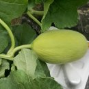 의총농장 이미지