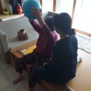 김제시보건소 이미지