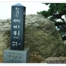 산책 E&D