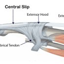 참좋은정형외과의원 이미지
