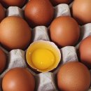 숲깊은 농장 이미지