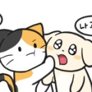 2020-주144 이미지