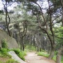 산성큰 이미지