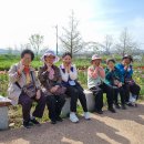 거창-남상-4 이미지