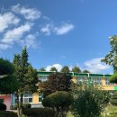 도곡중앙초등학교 이미지