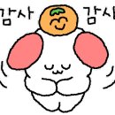 제일정꽈배기