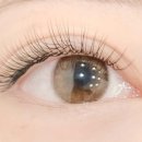 수원-0519 이미지