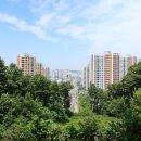 경기둘레길 김포58코스 Daum카페