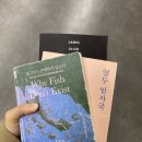 소도읖 남해 | 남해 워케이션 in 소도읖 후기
