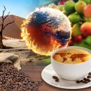 산업커피 이미지