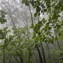 장동리 마을회관 이미지