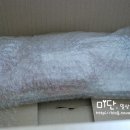 위드썬마케팅 | [위드블로그] 교세라 채칼 후기, - 안전 프로텍터 교세라채칼, 세라믹칼날