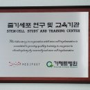 가제트병원 이미지