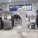 보바로보