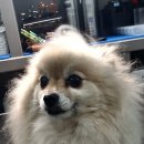 견생스타일 이미지