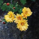 기억의 순간 이미지