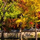 망천농장 이미지