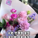 경기도 수원시 팔달구 권광로180번길 49 (인계동) | 수원꽃집 인계동 블룸앤프룻 예쁜 꽃다발 선물 가격 사진