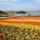 병풍도