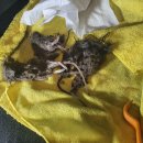 황제크리닝 이미지