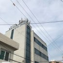 유경고추 이미지