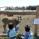 청초농장 이미지