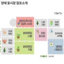 대한꽃도매 이미지