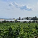 남원읍-79 이미지