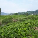정암산업진주 이미지