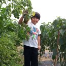 김현준농장 이미지