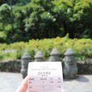세화여행사 이미지