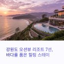 바다;스테이 이미지